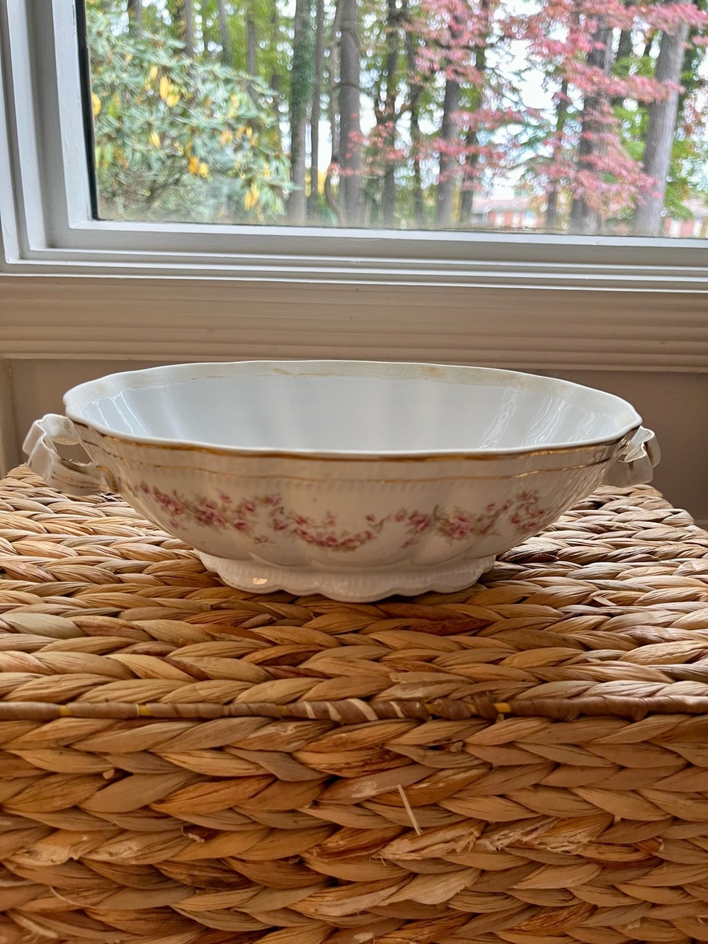 Antique Hand Painted Porcelain Bowl Bavaria